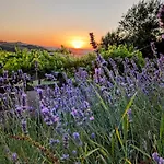 Podere Spedalone Feriegård Pienza