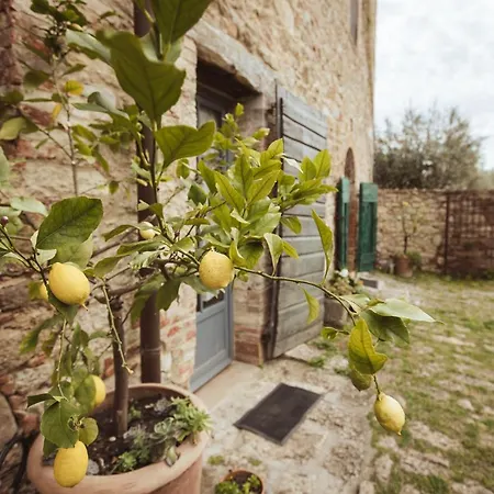 Podere Spedalone Vakantieboerderij *