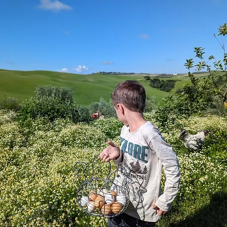 Podere Spedalone Vakantieboerderij