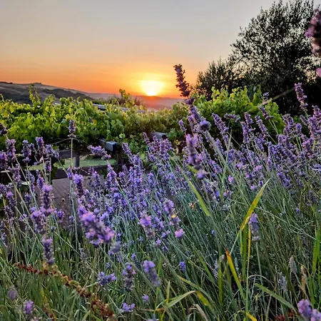 Podere Spedalone Lantgård Pienza