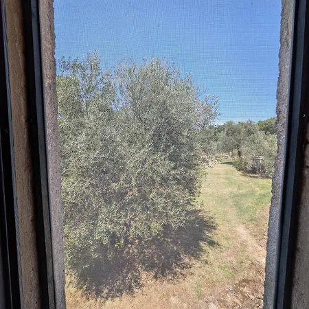 مزرعة للإقامة Podere Spedalone
