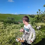 Podere Spedalone Agroturismo